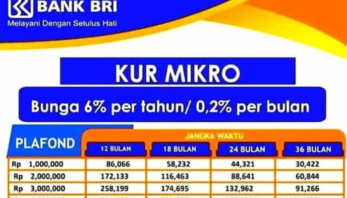 Tabel Angsuran Kur Bri 2022 Plafond Lima