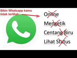 Cara Whatsapp Tidak Terlihat Online (Total 100% Tidak Terlihat)