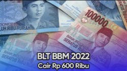 Cara Daftar BLT BBM Dapat Bansos Rp 600 Ribu di Aplikasi Kemensos